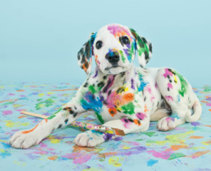 Painted Puppy