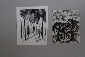 Holzschnitte, "Bäume", 70-er Jahre, 12 x 15, 12 x 14,8