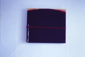 WVZ 2-10-85, Acryl auf Holz, Schnur, PVC-Schlauch, "Die Erweiterung des Horizonts", 1985, 42 x 37,5