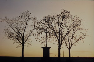 DSC00024