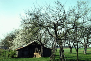 DSC00029