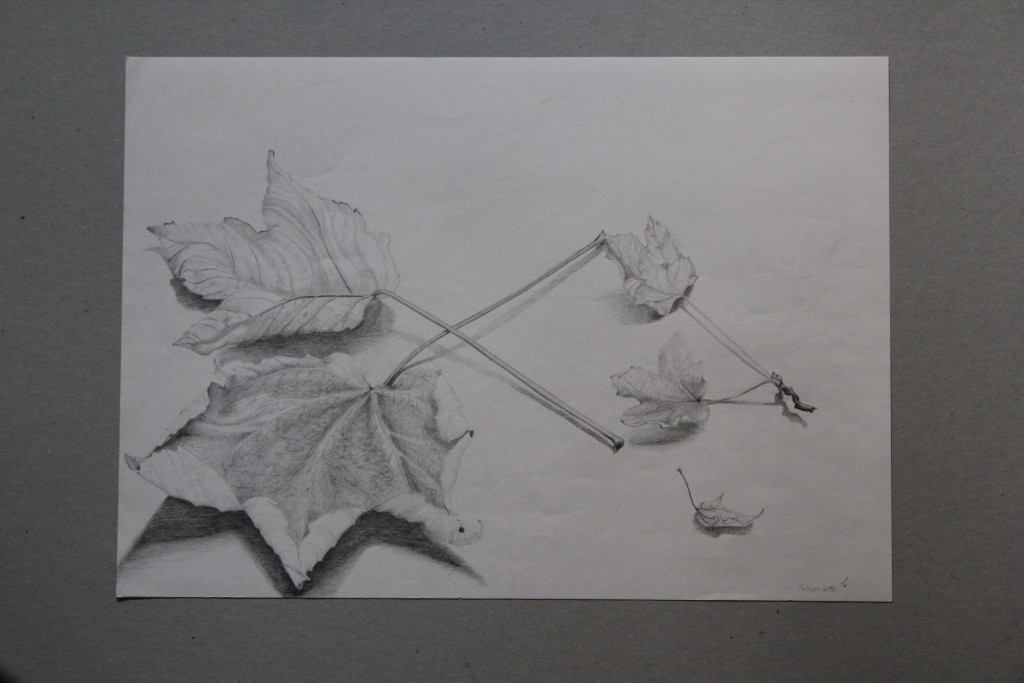 Blätter, Bleistift auf Papier, Anfang 80-er Jahre, 42 x 29